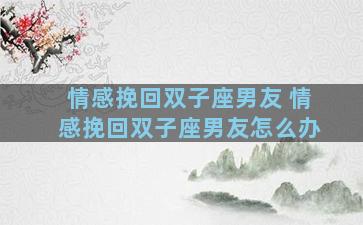 情感挽回双子座男友 情感挽回双子座男友怎么办